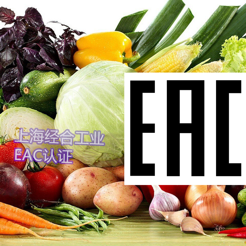 俄罗斯EAC认证测试全环节视频监控 + 纸质留痕 + 系统备案（2026年）